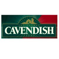 cavendish